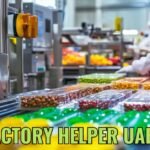 Factory Worker Vacancies in Dubai Opportunity for Freshers